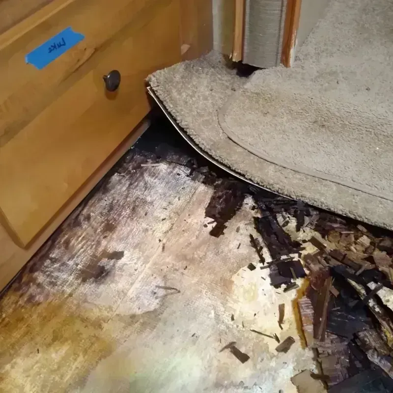 Wood Floor Water Damage in Windsor, MO